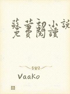 苏若初小说全文免费阅读封面