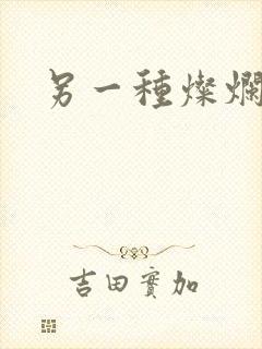 另一种灿烂生活