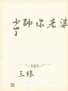 少帅你老婆又跑了封面