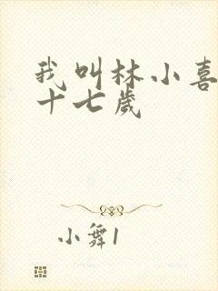我叫林小喜今年十七岁封面