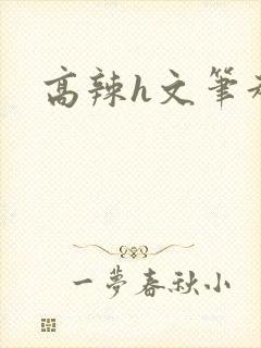 高辣h文笔趣阁