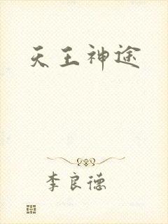 天王神途封面