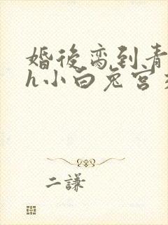 婚后脔到青梅哭h小白兔宫交h封面