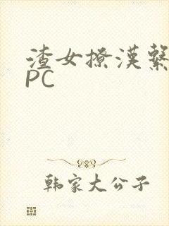 渣女撩汉系统NPC