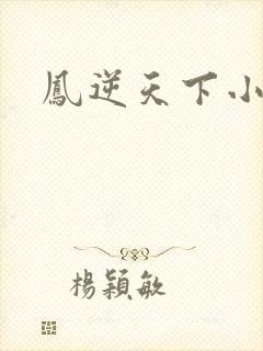 凤逆天下小说