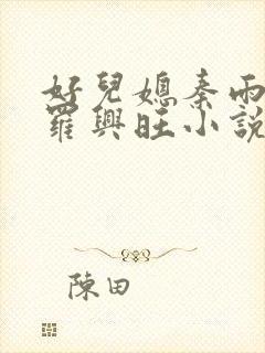 好儿媳秦雨罗明罗兴旺小说