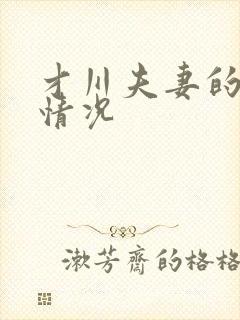 才川夫妻的恋爱情况封面