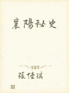 襄阳秘史