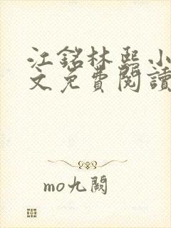 江铭林熙小说全文免费阅读封面