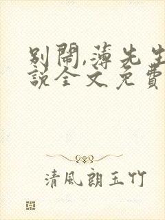 别闹,薄先生小说全文免费阅读