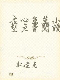 夜心万万小说完整免费阅读全文