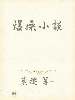 爆操小说