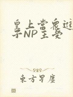 皇上当众进入太子NP主受