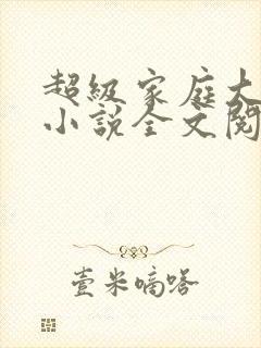 超级家庭大杂烩小说全文阅读