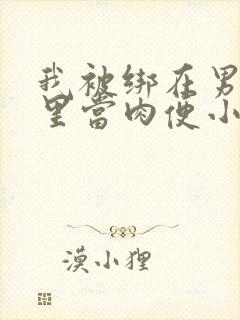 我被绑在男公厕里当肉便小说