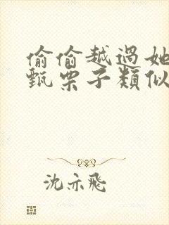 偷偷越过她by甄栗子类似小说封面