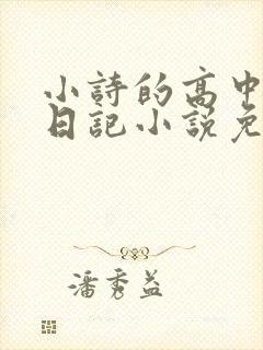 小诗的高中成长日记小说免费阅读