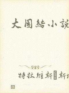 大团结小说全文