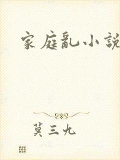 家庭乱小说封面