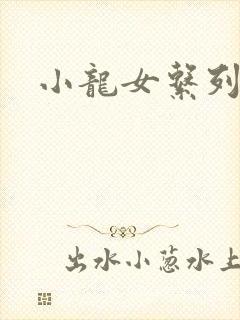 小龙女系列小说