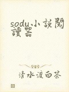 sodu小说阅读器