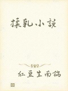 揉乳小说