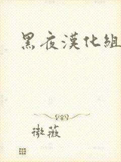 黑夜汉化组