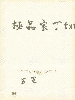 极品家丁txt封面