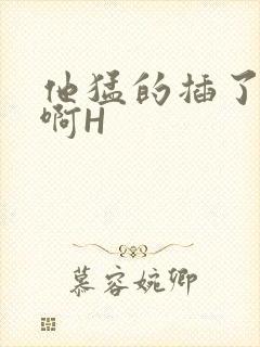 他猛的插了进去啊H