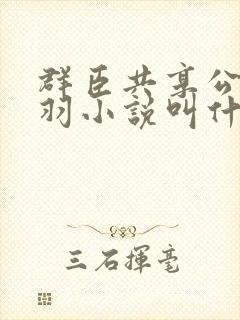 群臣共享公主银羽小说叫什么