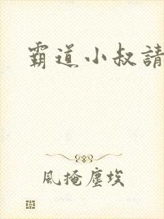 霸道小叔请轻撩封面