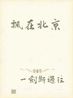飘在北京封面