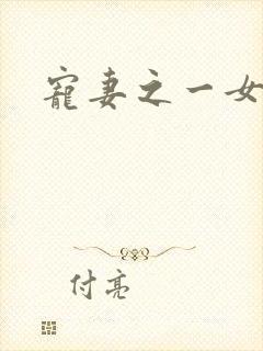 宠妻之一女二夫封面