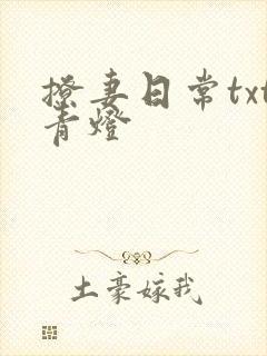 撩妻日常txt青灯封面