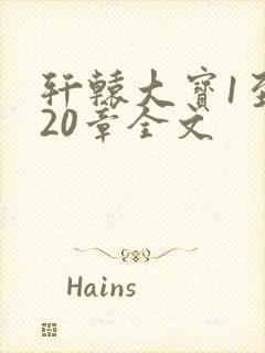 轩辕大宝1至720章全文