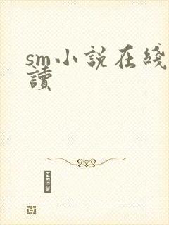 sm小说在线阅读
