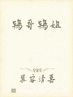 鸨哥鸨姐