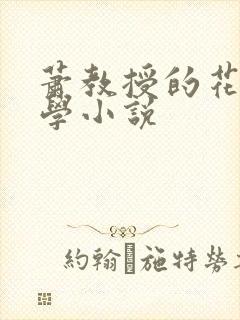 萧教授的花式教学小说封面