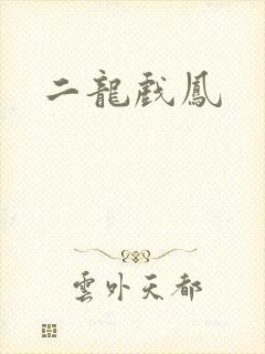 二龙戏凤