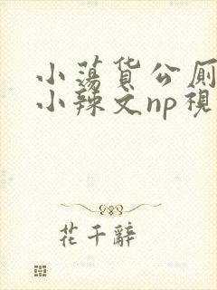 小荡货公厕h文小辣文np视频封面