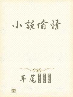 小说偷情封面