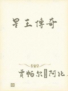 星王传奇