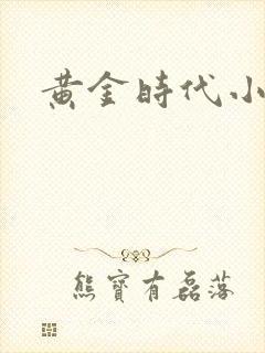 黄金时代小说