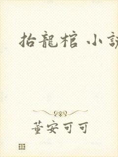 抬龙棺 小说封面