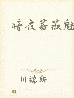 暗夜蔷薇魅封面