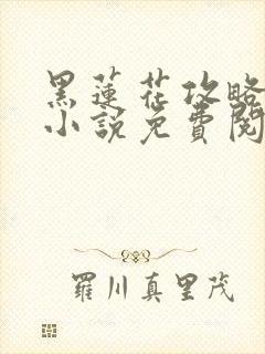 黑莲花攻略手册小说免费阅读封面