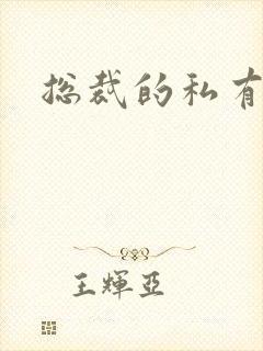 总裁的私有宝贝