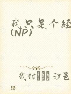 我只是个经纪人(NP)