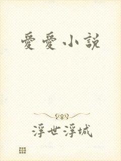 爱爱小说