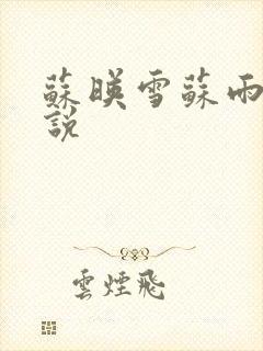 苏映雪苏雨柔小说
